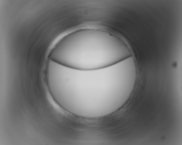 X0000114671147200910211003