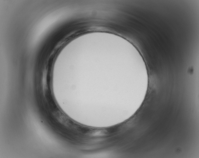 X0000114671150200910211003