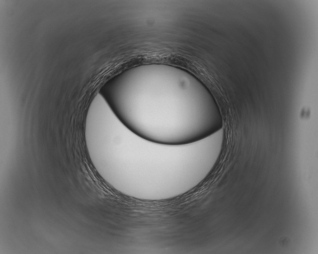 X0000114671153200910211002
