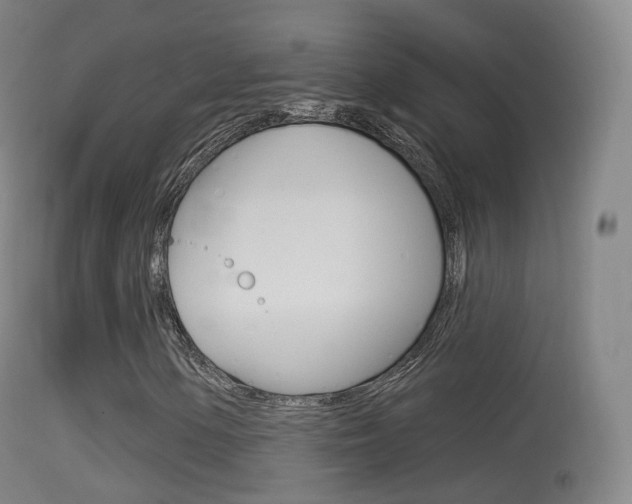 X0000114671154200910211002