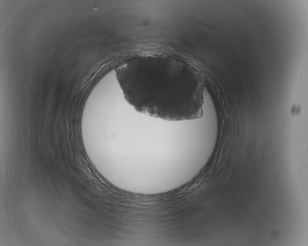X0000114671155200910211002