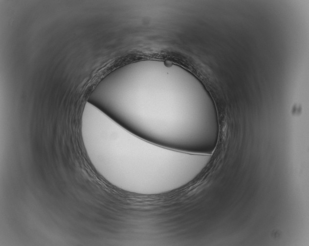X0000114671156200910211002