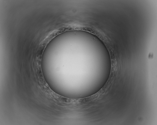 X0000114671157200910211002