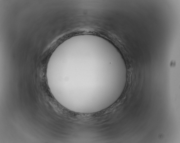 X0000114671158200910211002