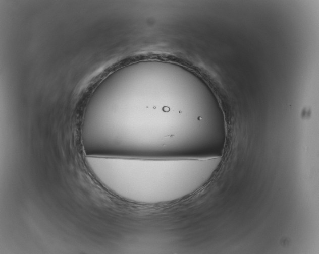 X0000114671159200910211002