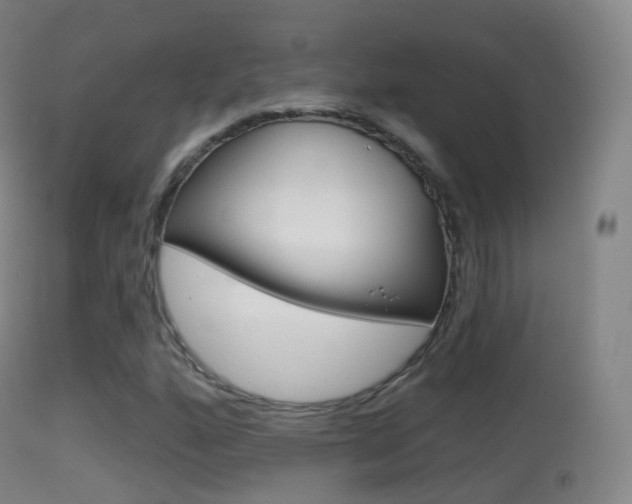 X0000114671160200910211002