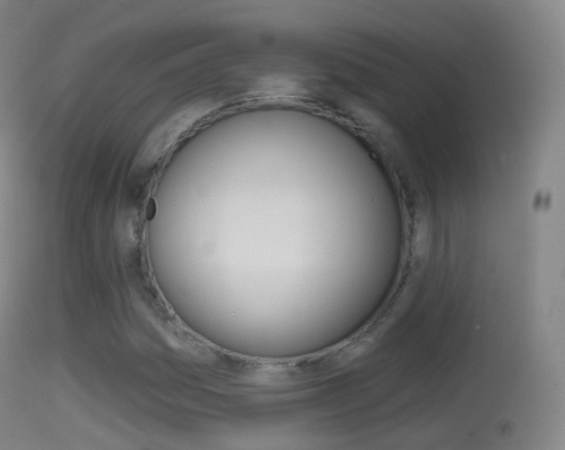 X0000114671161200910211002
