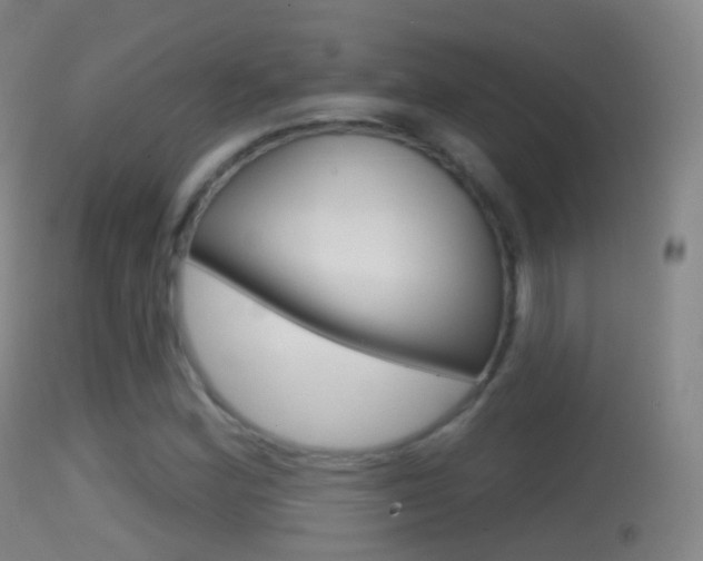 X0000114671164200910211002