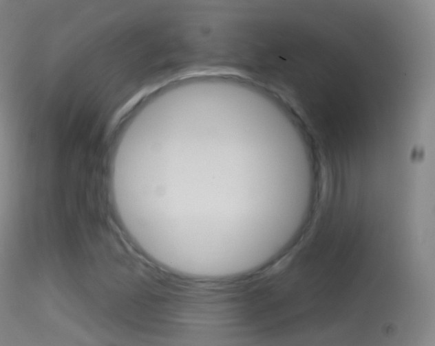 X0000114671165200910211002