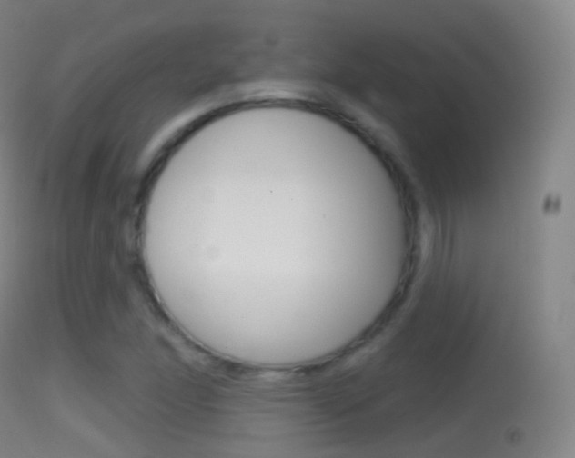 X0000114671166200910211002