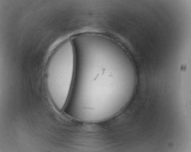 X0000114671168200910211002