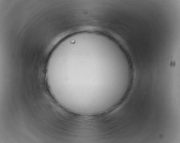 X0000114671170200910211002