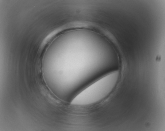 X0000114671172200910211002