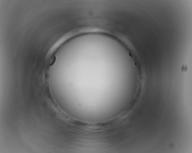 X0000114671173200910211002