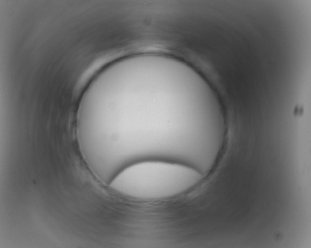X0000114671174200910211002