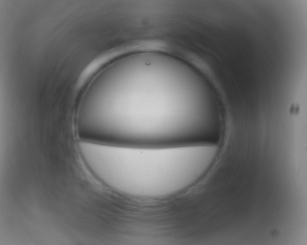 X0000114671176200910211002