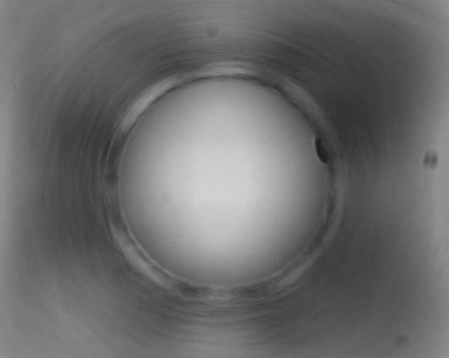 X0000114671177200910211002