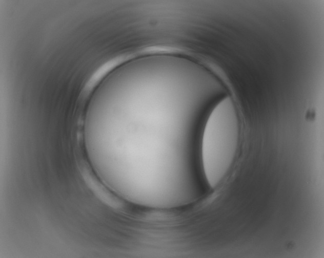 X0000114671179200910211002