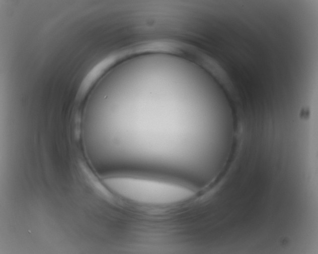 X0000114671180200910211002