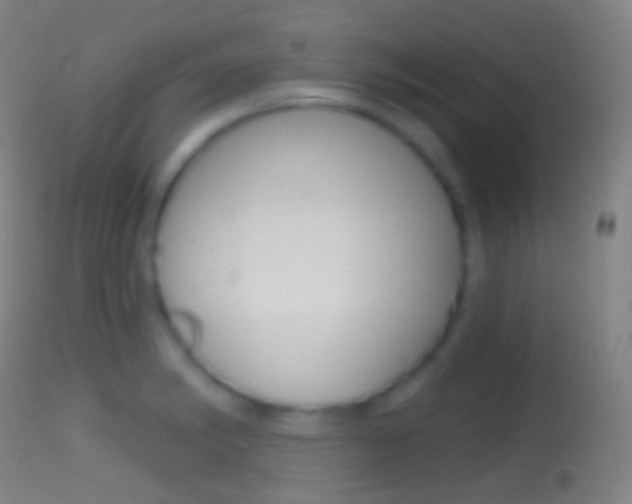 X0000114671182200910211002