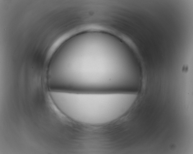 X0000114671183200910211002