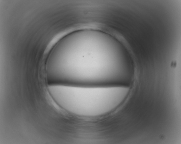 X0000114671184200910211002