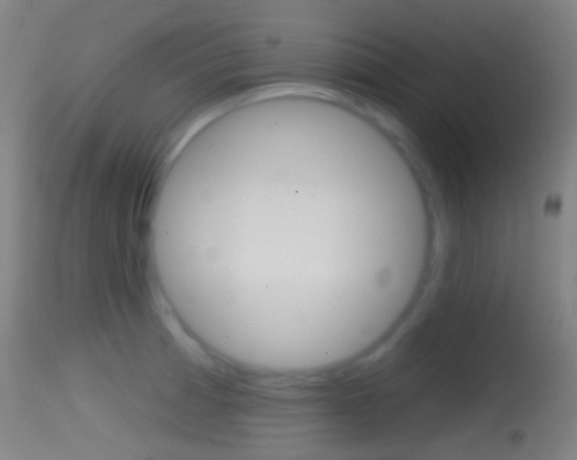 X0000114671185200910211002