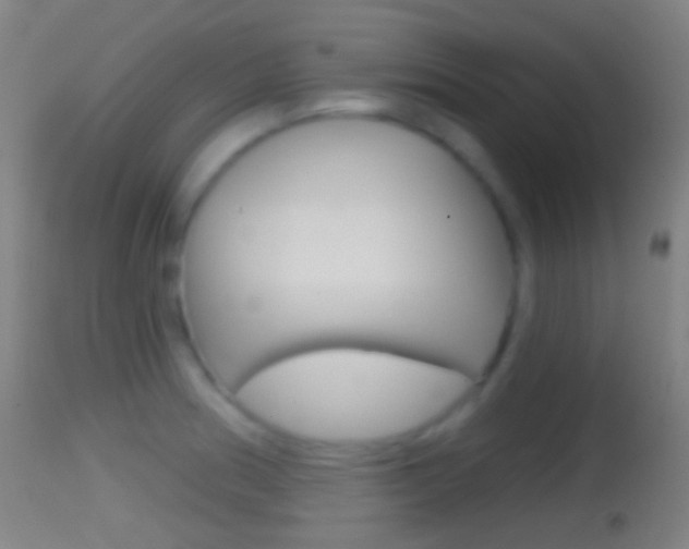 X0000114671186200910211002