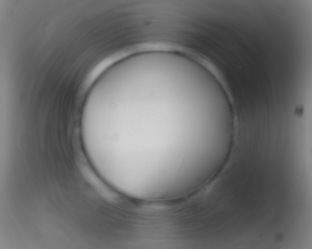 X0000114671187200910211002