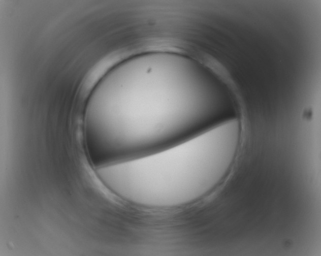 X0000114671188200910211002