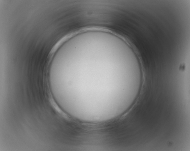 X0000114671189200910211002
