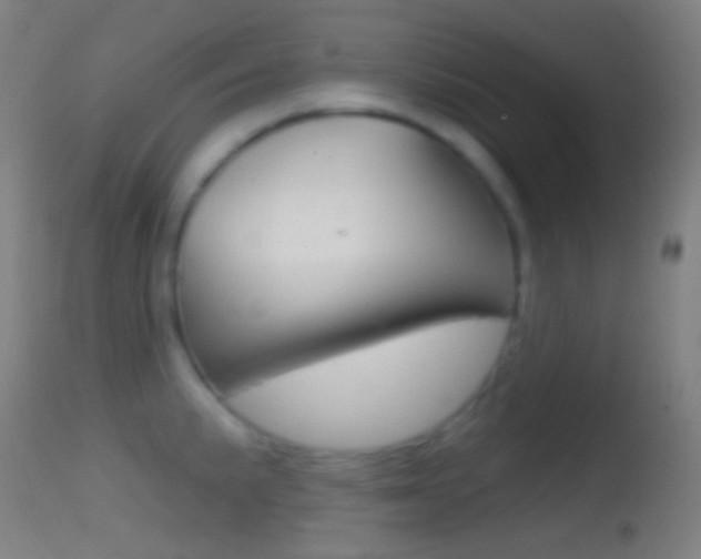 X0000114671191200910211002