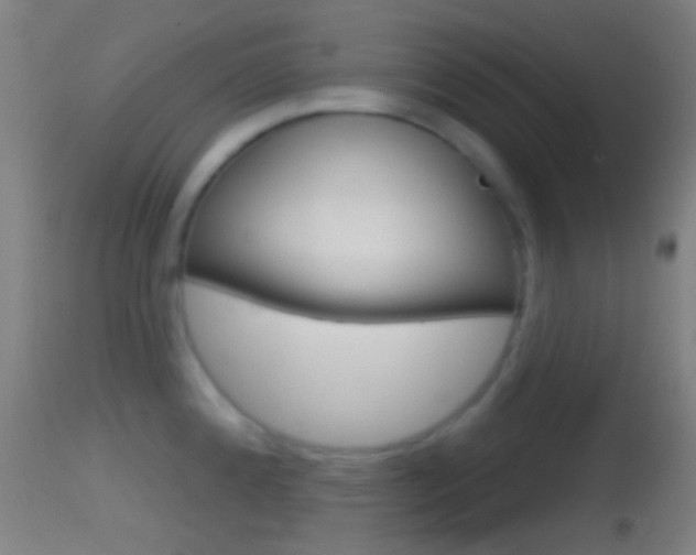 X0000114671192200910211002
