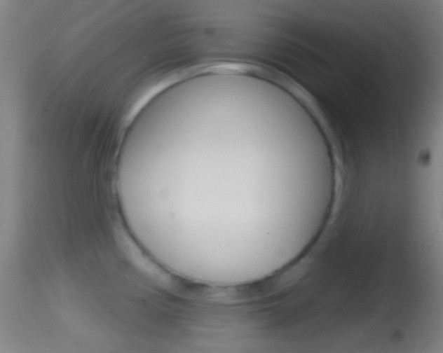 X0000114671194200910211002