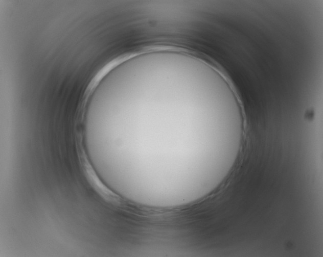 X0000114671195200910211002