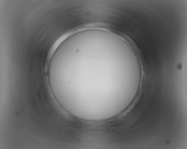 X0000114671196200910211002