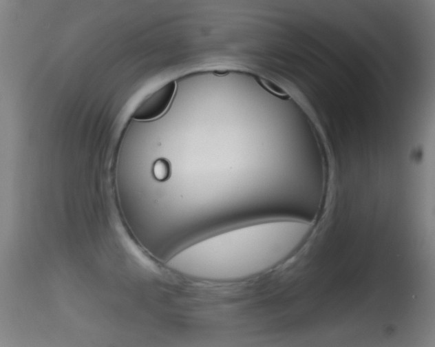 X0000114671197200910211002