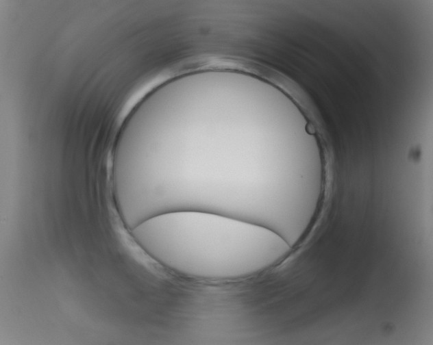X0000114671198200910211002