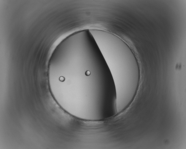 X0000114671200200910211002