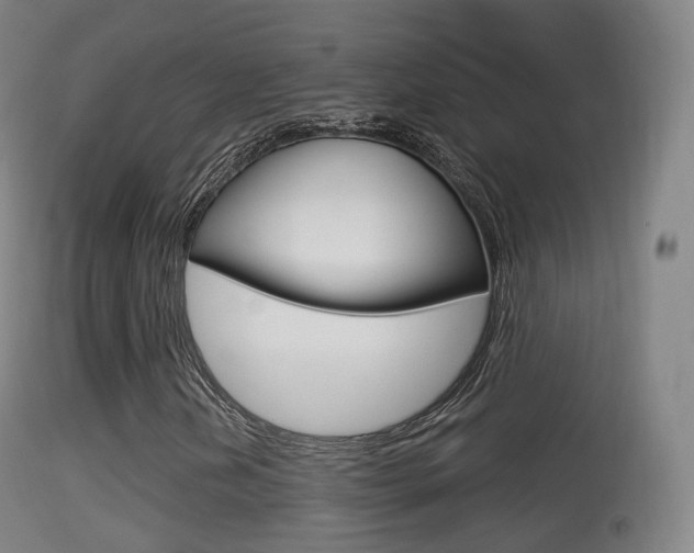 X0000114671202200910211001
