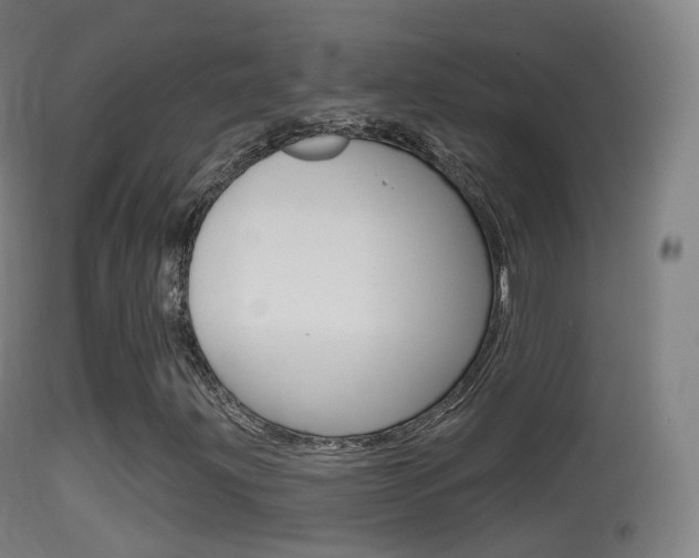 X0000114671203200910211001
