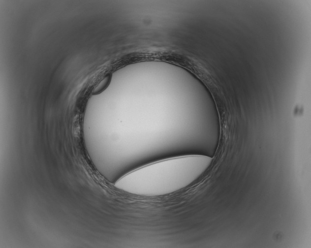 X0000114671204200910211001