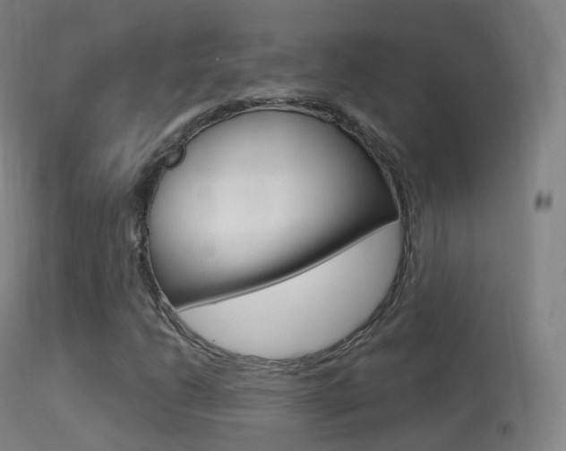 X0000114671206200910211001