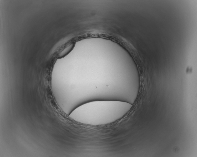X0000114671207200910211001