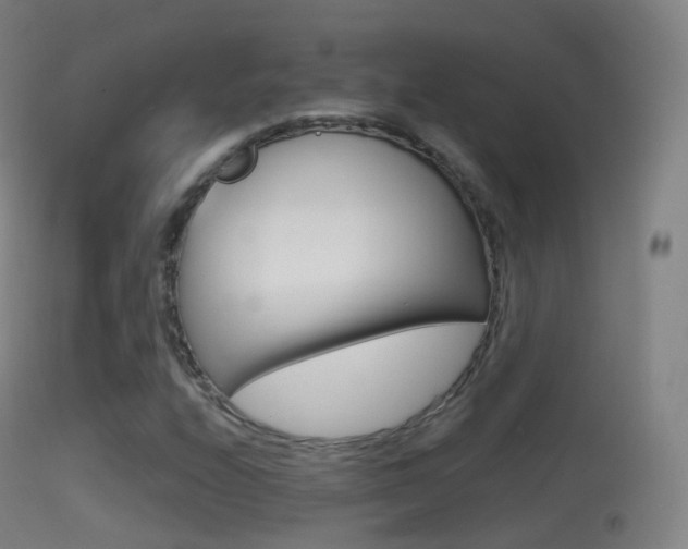 X0000114671208200910211001