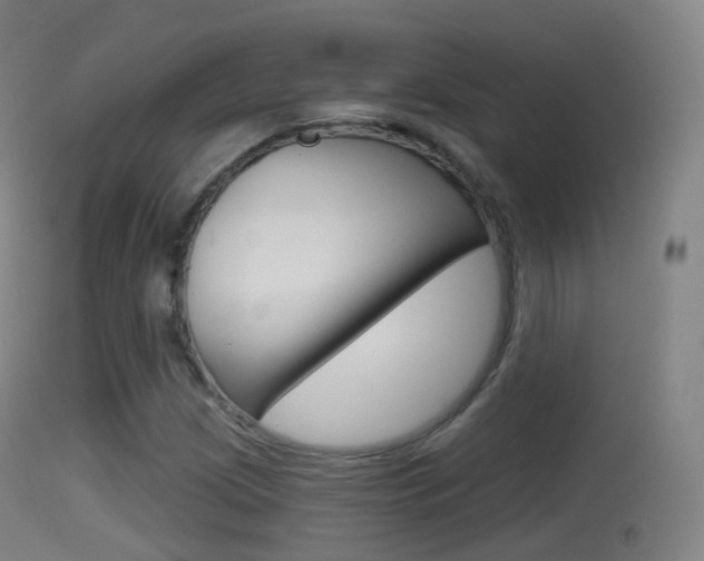 X0000114671209200910211001