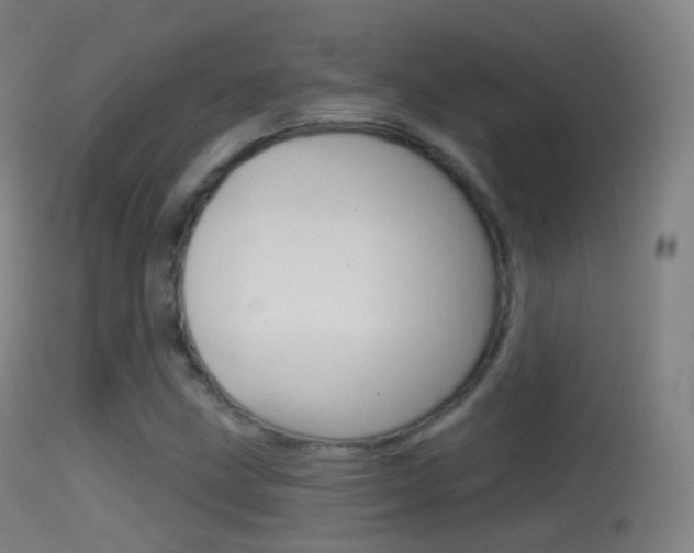 X0000114671211200910211001