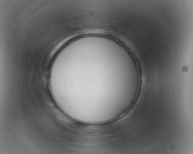 X0000114671212200910211001