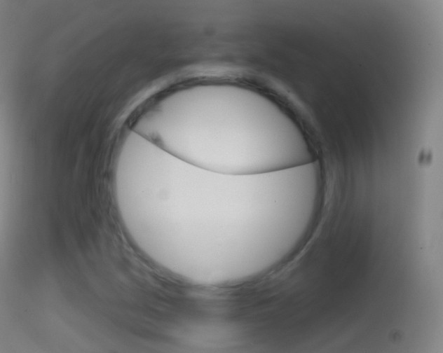 X0000114671213200910211001
