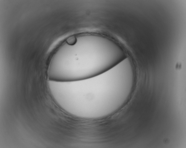 X0000114671214200910211001